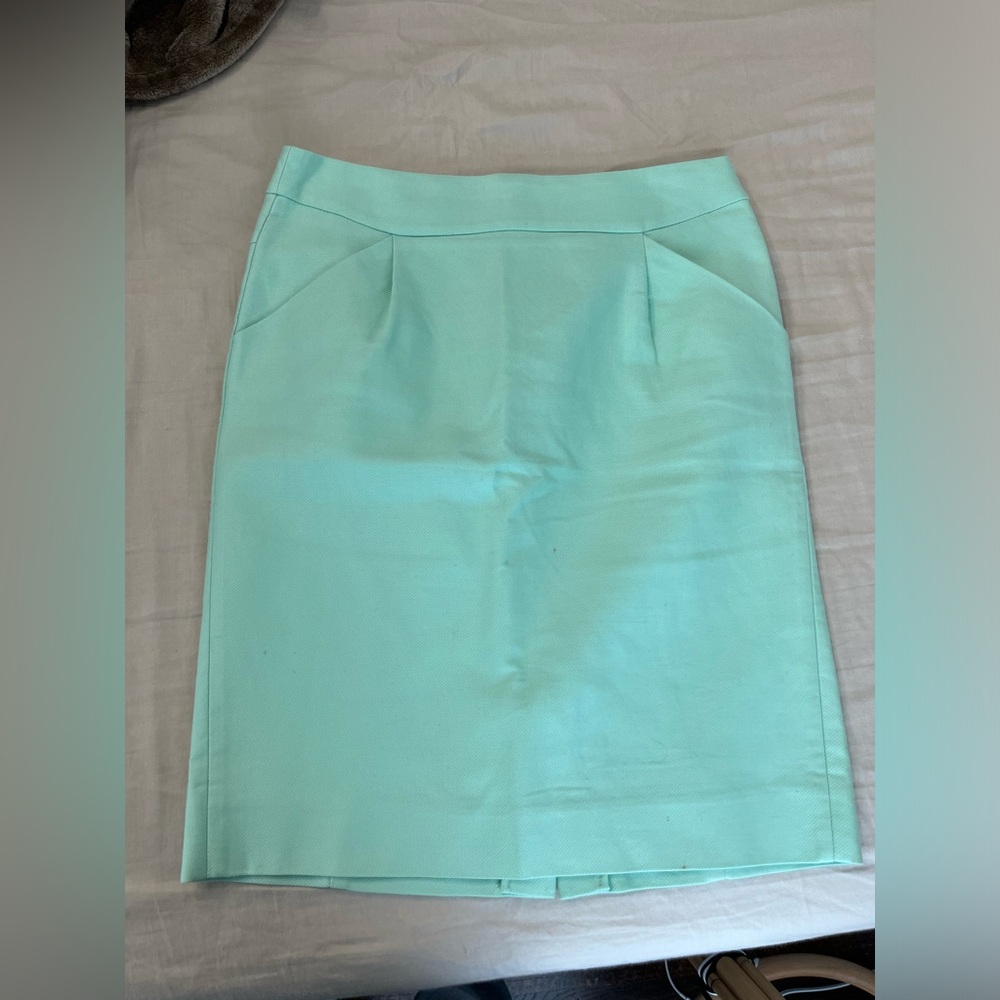 The Pencil Skirt (Jcrew)